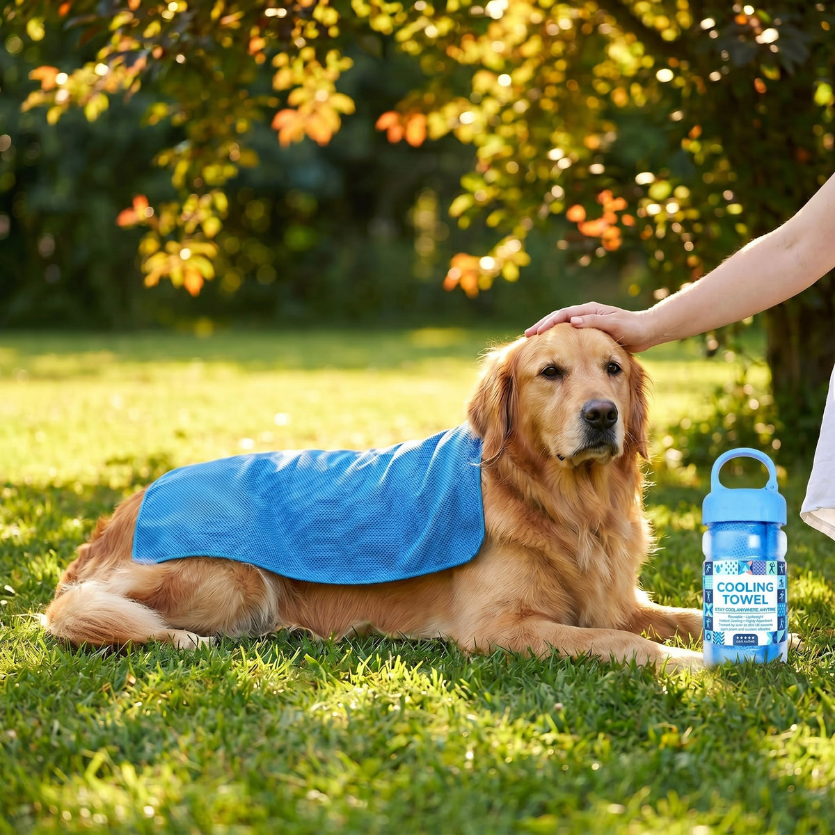 ❄️Absorbent Quick-Drying Gym Cooling Towels ❄️